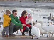 37. Slimbridge Wetland Centre